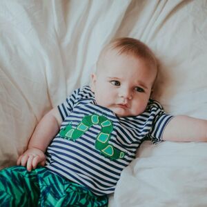 Lilly + Sid Boy's Caterpillar Applique Short Set Size: 0-3 m Multicolor 0-3 m Lilly + Sid Boy's Caterpillar Applique Short Set Size: 0-3 m Multicolor 0-3 m