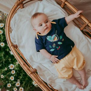 Lilly + Sid Boy's Bugs Jersey Short Set Size: 18-24 m Multicolor 18-24 m Lilly + Sid Boy's Bugs Jersey Short Set Size: 18-24 m Multicolor 18-24 m