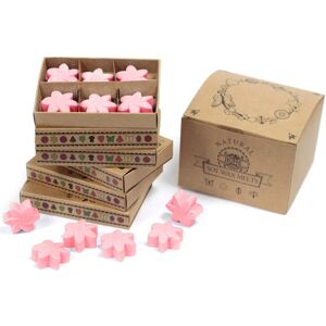 KDMD Box of 6 Wax Melts - Japanese Magnolia in Pink Pink KDMD Box of 6 Wax Melts - Japanese Magnolia in Pink Pink