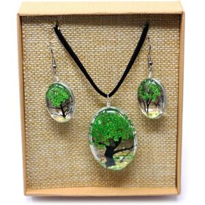 KDMD Women's Pressed Flowers - Tree of Life set - Green Green One Size KDMD Women's Pressed Flowers - Tree of Life set - Green Green One Size