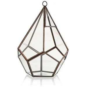 KDMD Glass Terrarium - Large Pentagon in Brown Brown KDMD Glass Terrarium - Large Pentagon in Brown Brown