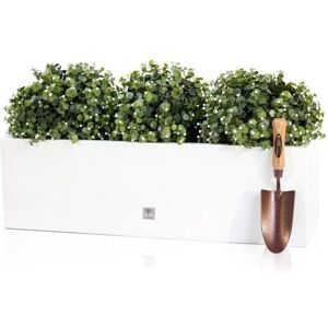 Primrose 80 x 24cm Gloss Fibreglass Trough Planter in White Size: 80 x 24 cm White 80 x 24 cm Primrose 80 x 24cm Gloss Fibreglass Trough Planter in White Size: 80 x 24 cm White 80 x 24 cm
