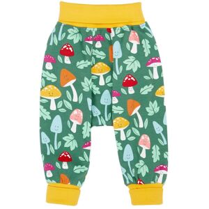 Frugi Boy's Parsnip Pants in Green Size: 2-3 Years Green 2-3 Years Frugi Boy's Parsnip Pants in Green Size: 2-3 Years Green 2-3 Years