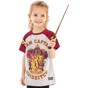 Harry Potter Girl's Gryffindor House Crest Kids Grey T-Shirt Size: 11-12 Years Grey 11-12 Years Harry Potter Girl's Gryffindor House Crest Kids Grey T-Shirt Size: 11-12 Years Grey 11-12 Years