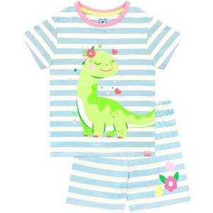 Harry Bear Girl's Dinosaur Stripe Short Pyjamas in Blue Size: 18-24 m Blue 18-24 m Harry Bear Girl's Dinosaur Stripe Short Pyjamas in Blue Size: 18-24 m Blue 18-24 m