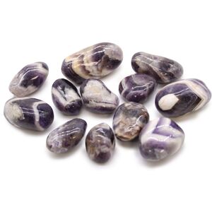 KDMD Medium African Tumble Stones - Amethyst - Chevron - (Set of 12) in Purple Purple One Size KDMD Medium African Tumble Stones - Amethyst - Chevron - (Set of 12) in Purple Purple One Size