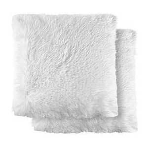 New Edge Blinds Teddy Cushion Cover in White Size: 43 cm x 43 cm White 43 cm x 43 cm New Edge Blinds Teddy Cushion Cover in White Size: 43 cm x 43 cm White 43 cm x 43 cm
