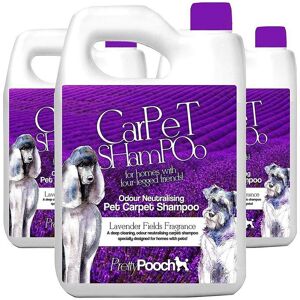 Pretty Pooch Pet Carpet Shampoo Lavender Fragrance Odour Neutralising 3 x 5L in Purple Purple Pretty Pooch Pet Carpet Shampoo Lavender Fragrance Odour Neutralising 3 x 5L in Purple Purple