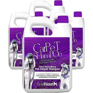 Pretty Pooch Pet Carpet Shampoo Lavender Fragrance Odour Neutralising 4 x 5L in Purple Purple Pretty Pooch Pet Carpet Shampoo Lavender Fragrance Odour Neutralising 4 x 5L in Purple Purple