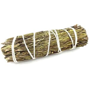 KDMD Smudge Stick - Romero Sage 10 cm in Green Green KDMD Smudge Stick - Romero Sage 10 cm in Green Green