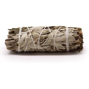 KDMD Smudge Stick - White Sage & Pirul Foliage White KDMD Smudge Stick - White Sage & Pirul Foliage White