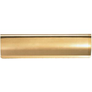 Loops Interior Letterbox Plate Tidy Cover Flap 280 x 62mm Polished Brass in Metallics Metallics Loops Interior Letterbox Plate Tidy Cover Flap 280 x 62mm Polished Brass in Metallics Metallics