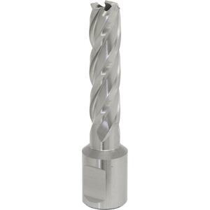 Loops 13mm x 50mm Depth Rotabor Cutter - M2 Steel Annular Metal Core Drill 19mm Shank in Metallics Metallics Loops 13mm x 50mm Depth Rotabor Cutter - M2 Steel Annular Metal Core Drill 19mm Shank in Metallics Metallics