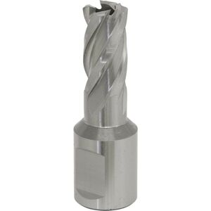 Loops 14mm x 25mm Depth Rotabor Cutter - M2 Steel Annular Metal Core Drill 19mm Shank in Metallics Metallics Loops 14mm x 25mm Depth Rotabor Cutter - M2 Steel Annular Metal Core Drill 19mm Shank in Metallics Metallics