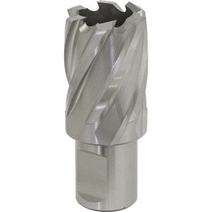 Loops 24mm x 25mm Depth Rotabor Cutter - M2 Steel Annular Metal Core Drill 19mm Shank in Metallics Metallics Loops 24mm x 25mm Depth Rotabor Cutter - M2 Steel Annular Metal Core Drill 19mm Shank in Metallics Metallics