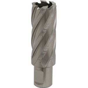 Loops 25mm x 50mm Depth Rotabor Cutter - M2 Steel Annular Metal Core Drill 19mm Shank in Metallics Metallics Loops 25mm x 50mm Depth Rotabor Cutter - M2 Steel Annular Metal Core Drill 19mm Shank in Metallics Metallics