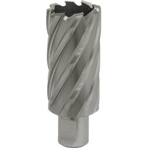 Loops 32mm x 50mm Depth Rotabor Cutter - M2 Steel Annular Metal Core Drill 19mm Shank in Metallics Metallics Loops 32mm x 50mm Depth Rotabor Cutter - M2 Steel Annular Metal Core Drill 19mm Shank in Metallics Metallics
