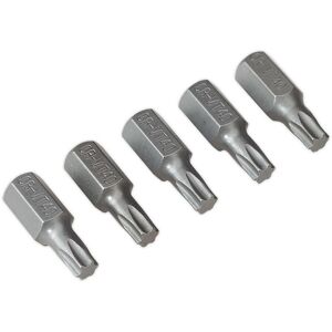 Loops 5 PACK - T40 x 30mm TRX Star Short Bit Set - Hex Shaft - Chrome Vanadium Steel in Metallics Metallics Loops 5 PACK - T40 x 30mm TRX Star Short Bit Set - Hex Shaft - Chrome Vanadium Steel in Metallics Metallics