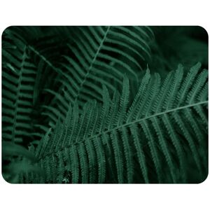 Benjamin Tate Design Plants background. Biophilia trend Designer Blanket in Natural Size: 120 cm x 150 cm Natural 120 cm x 150 cm Benjamin Tate Design Plants background. Biophilia trend Designer Blanket in Natural Size: 120 cm x 150 cm Natural 120 cm x 150 cm