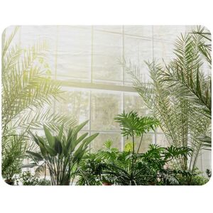 Benjamin Tate Design Green plants in botanical gardens Designer Blanket in Natural Size: 120 cm x 150 cm Natural 120 cm x 150 cm Benjamin Tate Design Green plants in botanical gardens Designer Blanket in Natural Size: 120 cm x 150 cm Natural 120 cm x 150 cm