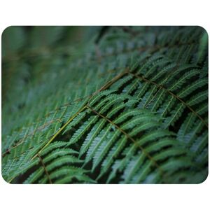 Benjamin Tate Design grren leaves pattern & texture at Indonesia Designer Blanket in Natural Size: 120 cm x 150 cm Natural 120 cm x 150 cm Benjamin Tate Design grren leaves pattern & texture at Indonesia Designer Blanket in Natural Size: 120 cm x 150 cm Natural 120 cm x 150 cm