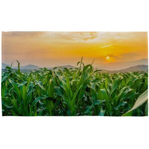 Benjamin Tate Design green corn field in agricultural garden & light shines sunset Designer Kitchen Towel Green Benjamin Tate Design green corn field in agricultural garden & light shines sunset Designer Kitchen Towel Green