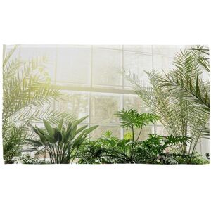 Benjamin Tate Design Green plants in botanical gardens Designer Kitchen Towel Green Benjamin Tate Design Green plants in botanical gardens Designer Kitchen Towel Green