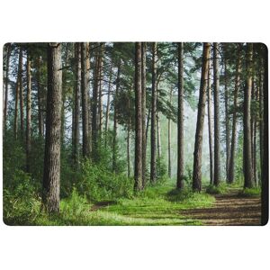 Benjamin Tate Design Beautiful Summer Forest With Different Trees Designer Rug in Natural Size: Large Natural Large Benjamin Tate Design Beautiful Summer Forest With Different Trees Designer Rug in Natural Size: Large Natural Large