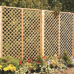 Primrose English Fan Outdoor Garden Privacy Screening Wall Trellis 1.83m x 1.8m in Natural Natural Primrose English Fan Outdoor Garden Privacy Screening Wall Trellis 1.83m x 1.8m in Natural Natural