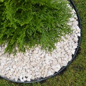 Primrose Pack of 20 Flexible Garden Edging with Included Pins in Black 20m Black Primrose Pack of 20 Flexible Garden Edging with Included Pins in Black 20m Black