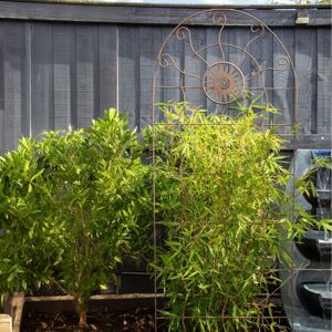 Primrose Steel Aztec Sun Design Trellis in Powder Coated Corten Steel 183cm in Brown Brown Primrose Steel Aztec Sun Design Trellis in Powder Coated Corten Steel 183cm in Brown Brown