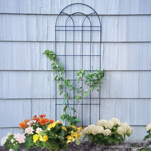 Primrose Classic Powder Coated Steel Metal Trellis in Black 182cm Black Primrose Classic Powder Coated Steel Metal Trellis in Black 182cm Black