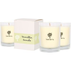 Nicola Spring 160g Vanilla Sands Soy Candles - Pack of 3 - Sweet Creamy Glass in Clear Clear Nicola Spring 160g Vanilla Sands Soy Candles - Pack of 3 - Sweet Creamy Glass in Clear Clear