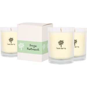 Nicola Spring 160g Sage Retreat Soy Candles - Pack of 3 - Herbal Spa Glass Jars in Clear Clear Nicola Spring 160g Sage Retreat Soy Candles - Pack of 3 - Herbal Spa Glass Jars in Clear Clear