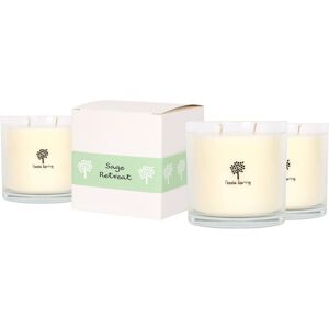 Nicola Spring 400g Sage Retreat Soy Candles - Pack of 3 - Double Wick Glass Jars in Clear Clear Nicola Spring 400g Sage Retreat Soy Candles - Pack of 3 - Double Wick Glass Jars in Clear Clear