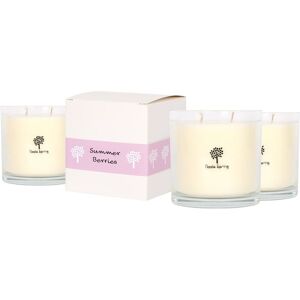 Nicola Spring 400g Summer Berries Soy Candles - Pack of 3 - Double Wick Jars in Clear Clear Nicola Spring 400g Summer Berries Soy Candles - Pack of 3 - Double Wick Jars in Clear Clear