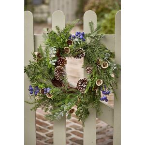 Dibor Giant Fruits of the Forest Front Door Wreath Christmas Wreath 53cm in Green Green Dibor Giant Fruits of the Forest Front Door Wreath Christmas Wreath 53cm in Green Green