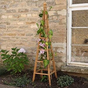 Marco Paul 1.5m Tan Wooden Garden Obelisk Outdoor Plant Support in Beige Beige Marco Paul 1.5m Tan Wooden Garden Obelisk Outdoor Plant Support in Beige Beige