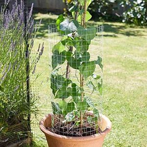 Marco Paul Galvanised Weld Mesh Panel 25mm, 0.6 x 0.9m in Silver Silver Marco Paul Galvanised Weld Mesh Panel 25mm, 0.6 x 0.9m in Silver Silver