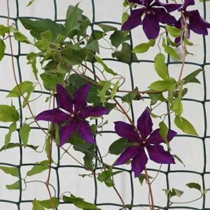 Marco Paul Black Climbing Plant & Fencing Garden Mesh 0.5m x 5m Black Marco Paul Black Climbing Plant & Fencing Garden Mesh 0.5m x 5m Black