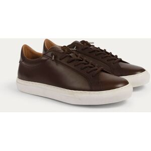 The Wolf Men's Arezzo Leather Smart Trainers in Dark Brown Size: 8 Dark Brown 8 The Wolf Men's Arezzo Leather Smart Trainers in Dark Brown Size: 8 Dark Brown 8