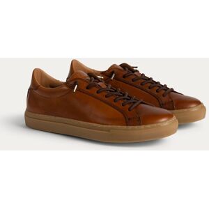 The Wolf Men's Arezzo Leather Smart Trainers in Brown Size: 8 Brown 8 The Wolf Men's Arezzo Leather Smart Trainers in Brown Size: 8 Brown 8