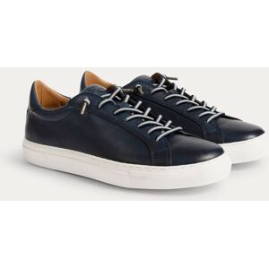 The Wolf Men's Arezzo Leather Smart Trainers in Blue Size: 10 Blue 10 The Wolf Men's Arezzo Leather Smart Trainers in Blue Size: 10 Blue 10