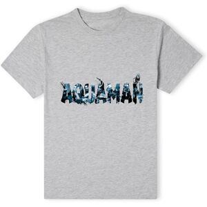Aquaman Official Movie Chest Logo T-Shirt - Grey Size: Large Grey L Aquaman Official Movie Chest Logo T-Shirt - Grey Size: Large Grey L
