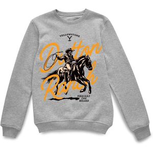 Yellowstone Official Dutton Ranch Lasso Sweatshirt - Grey Size: XL Grey XL Yellowstone Official Dutton Ranch Lasso Sweatshirt - Grey Size: XL Grey XL