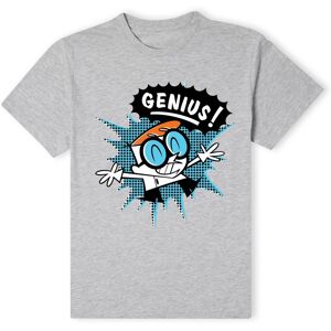 Cartoon Network Official Dexters Lab Genius T-Shirt - Grey Size: 2XL Grey 2XL Cartoon Network Official Dexters Lab Genius T-Shirt - Grey Size: 2XL Grey 2XL