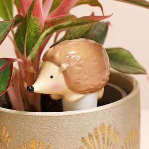 Lisa Angel Women's Hedgehog Plant Watering Spike in Light Brown Light Brown Lisa Angel Women's Hedgehog Plant Watering Spike in Light Brown Light Brown