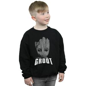Marvel Boy's Guardians Of The Galaxy Groot Face Sweatshirt in Black Size: 7-8 Years Black 7-8 Years Marvel Boy's Guardians Of The Galaxy Groot Face Sweatshirt in Black Size: 7-8 Years Black 7-8 Years