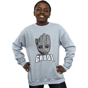 Marvel Boy's Guardians Of The Galaxy Groot Face Sweatshirt in Grey Size: 12-13 Years Grey 12-13 Years Marvel Boy's Guardians Of The Galaxy Groot Face Sweatshirt in Grey Size: 12-13 Years Grey 12-13 Years