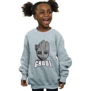 Marvel Girl's Guardians Of The Galaxy Groot Face Sweatshirt in Grey Size: 7-8 Years Grey 7-8 Years Marvel Girl's Guardians Of The Galaxy Groot Face Sweatshirt in Grey Size: 7-8 Years Grey 7-8 Years